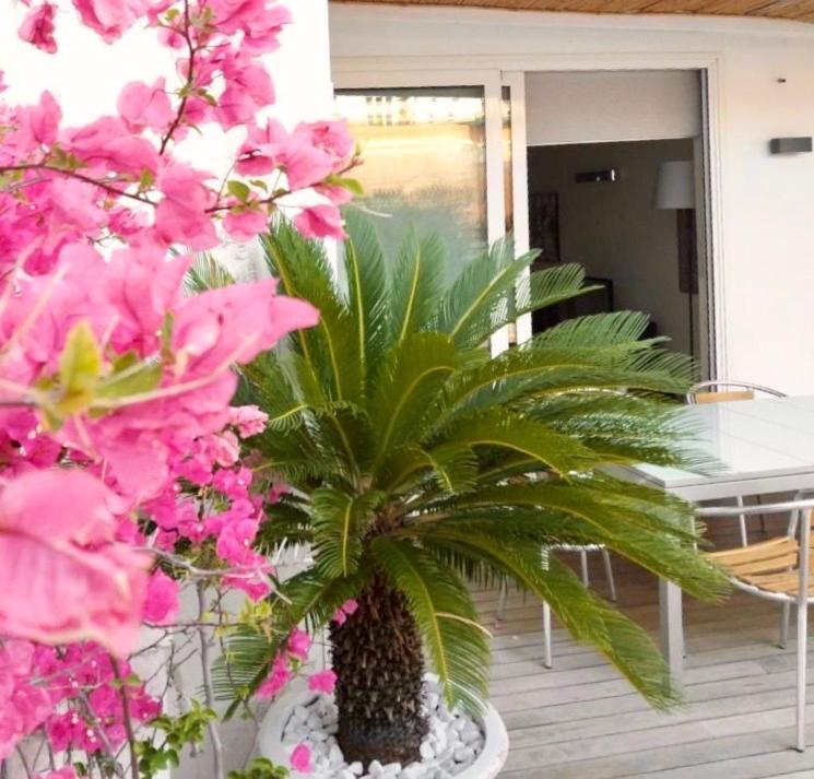 B&B Interno 3 Bari Exterior foto